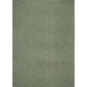 Latitude Run Hiroto Rug in Dark Green gray 160.0 H x 120.0 W x 1.6 D cm