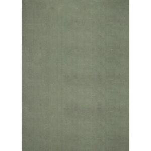 Latitude Run Hiroto Rug in Dark Green gray 200.0 H x 140.0 W x 1.6 D cm
