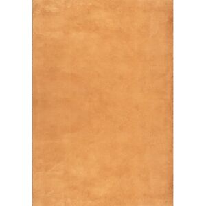 Latitude Run Hiroto Rug in Orange orange 170.0 H x 120.0 W x 1.6 D cm