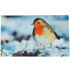 Homescapes Winter Robin Printed 100% Recycled Rubber Non-Slip Doormat