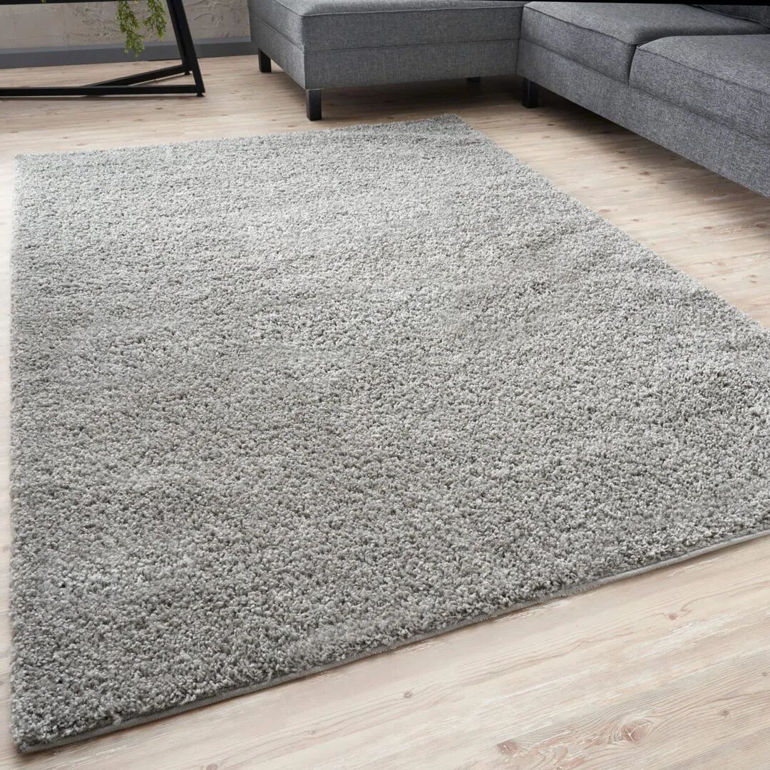 THE RUGS Myshaggy Rugs Solid Design   Grey gray 170.0 H x 120.0 W x 1.18 D cm