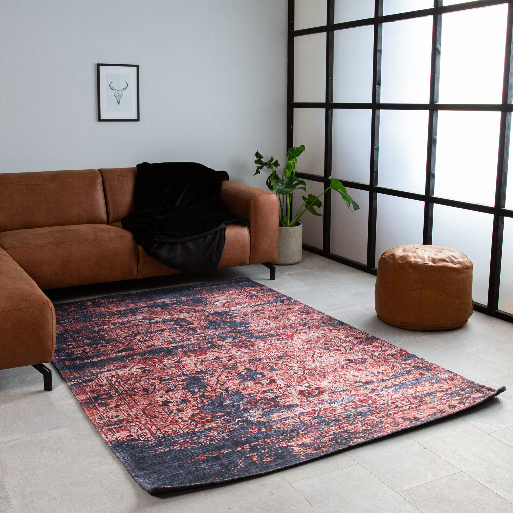 Furnwise Rug Julia Black Red 230x160 cm