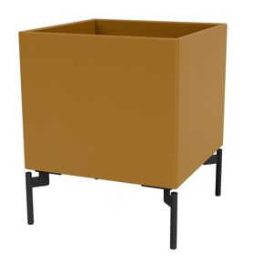 Montana Colour Box S6161 m. Ben 35,4x42,6x35,4 cm - 142 Amber