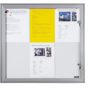 eurokraft pro Vitrina con puerta batiente, A x H x P exteriores 522 x 697 x 33 mm, pared posterior de metal