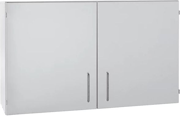 kaiserkraft Armario colgante para laboratorio, 1 puerta batiente, A x P x H 600 x 400 x 750 mm