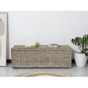 Vente-unique.com Coffre de rangement en kubu GAO - L130 x P45 x H44 cm - Gris naturel