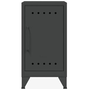 BISLEY Fern Mini Armoire de Rangement, Acier allié, Gris Anthracite (634) - Publicité