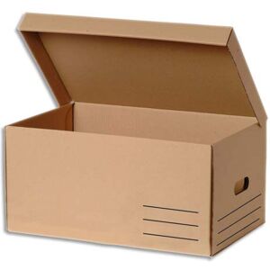 Produit neutre Conteneur écologique carton, H 37,3 x L55,9 x P 26,4 cm, brun. - Lot de 10