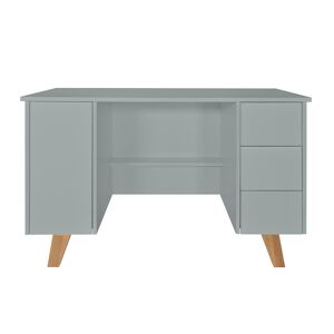 Novelies Bureau 3 tiroirs 1 porte gris Gris 124x76x60cm