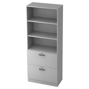 hjh OFFICE PRO SIGNA G 7300 SG - Gris Armoire avec dispositif pour dossiers suspendus (verrouillable) poignee striee en plastique