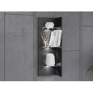 Etagère murale 1 porte CURTYS coloris chêne sonoma et malamine noir grand  brillant - Conforama