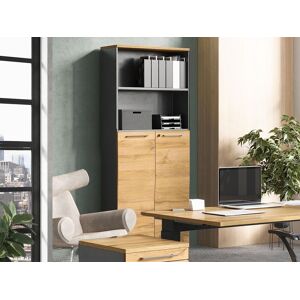 Germania Armoire AGENDARME 2 portes 2 niche chêne grandson/graphite