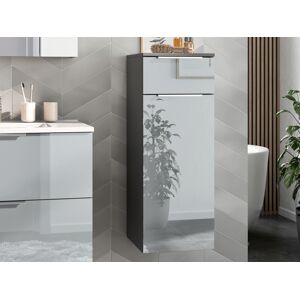 Mobistoxx Armoire murale VASILIO 1 porte 1 tiroir graphite/gris brillant - Publicité