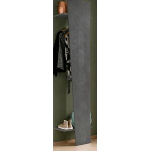 Leroy Merlin Mobile ingresso VEGA L 50 x H 200 P 30 cm grigio ardesia