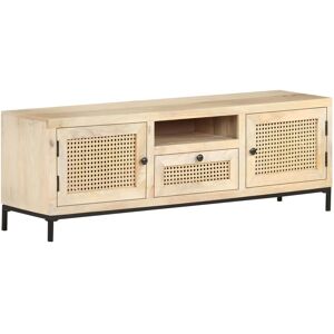 vidaXL Tv-meubel 120x30x40 cm massief mangohout en natuurlijk riet