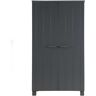 Dennis Kast Grenen Steel Grey Geborsteld [fsc]   Grijs   WOOOD   Grenen (geborsteld)   55 x  111 x 202 cm