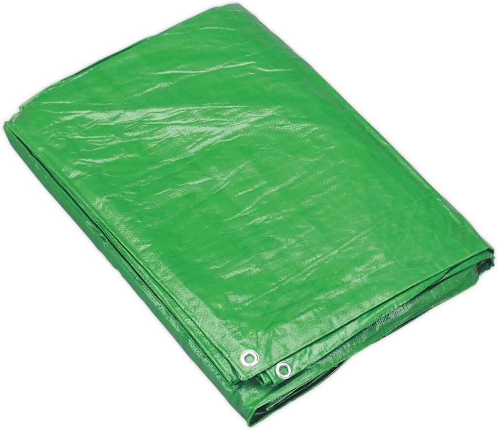 Photos - Furniture Cover Symple Stuff 4.88 X 6.10M Tarpaulin - Blue green 0.61 H x 488.0 W x 610.0