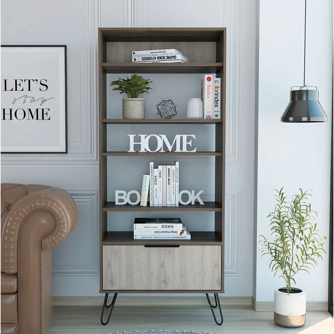 Photos - Wall Shelf Borough Wharf Skyler 5 Shelf Bookcase with Door brown 171.2 H x 72.3 W x 3