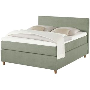 Jette Home Boxspringbett  Jette Flex ¦ grün ¦ Maße (cm): B: 145 H: 12