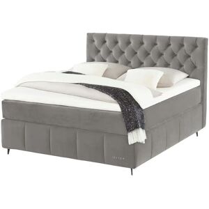 Jette Home Boxspringbett  Jette Glam ¦ grau ¦ Maße (cm): B: 182 H: 13