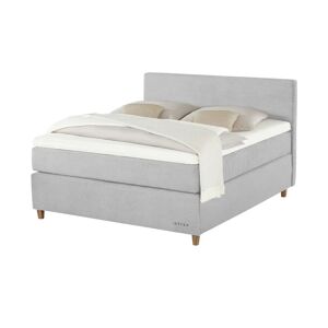 Jette Home Boxspringbett  Jette Flex ¦ grau ¦ Maße (cm): B: 145 H: 12