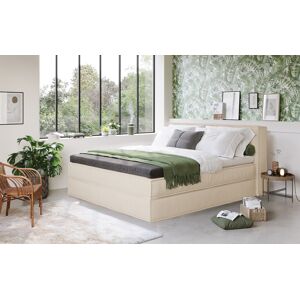 Boxspringbett HOME AFFAIRE 