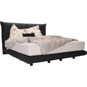 Boxspringbett TOM TAILOR HOME 