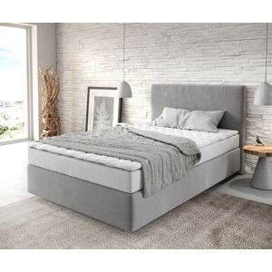 DELIFE Lit-sommier-tapissier Dream-Well 120x200 cm microfibre gris