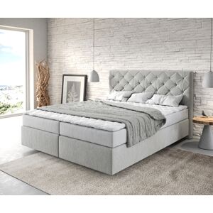 DELIFE Lit à sommier tapissier Dream-Great 160x200 Microfibre Gris argenté