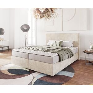 DELIFE Lit-a-sommier-tapissier Dream-Well 160x200 cm Velours côtele Beige avec...