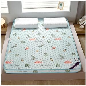 FrYsky Matelas 90x190, Matelas en Mousse À Mémoire De Forme, Matelas Pliable for Dortoir D'étudiants Simples Et Doubles, Matelas Tatami Pleine Taille for Chambre À Coucher (Color : Style8, Size : 150 * 200C - Publicité