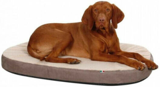 Kerbl Matelas pour chien à mémoire de forme ovale Kerbl Taille L