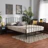 Baxton Studio Lana Black Bronze Queen Platform Bed