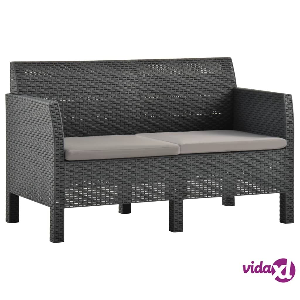 vidaXL 2-Seater Garden Sofa with Cushions Anthracite PP