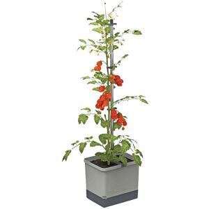 Garden Life Gusta Garden Tom Tomato - Light Grey