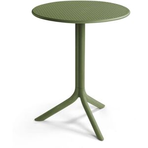 NARDI Step Table agave