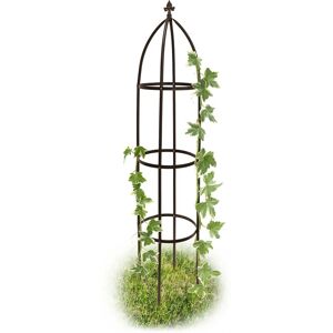 Relaxdays - Arceau de jardin arche rosiers plantes grimpantes pergola Obélisque de jardin support tuteur métal 190 cm - Publicité