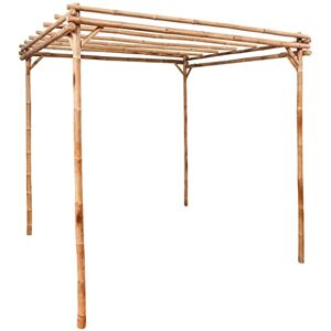 vidaXL Pergola Support pour Plantes Grimpantes Rosiers Patio Extérieur Arrière-Cour Robuste Durable Résistant Bambou 170x170x220 cm - Publicité