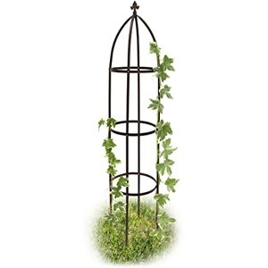 Relaxdays Arceau Arche rosiers pergola Obélisque de Jardin Support tuteur métal Colonne pour Plantes grimpantes 190 cm, Marron - Publicité