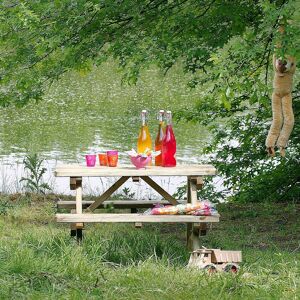 Cémonjardin Table de pique-nique pour enfant en bois chinchilla 4 places