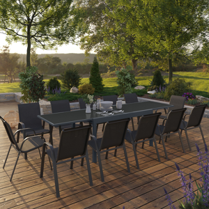 IDMarket Salon de jardin gris anthracite avec table et 12 chaises