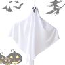 Richolyn Hangende geesten voor bomen witte hangende geesten   Halloween buitendecoraties, Halloween outdoor decoratie voor feest, terras, gazon, tuin