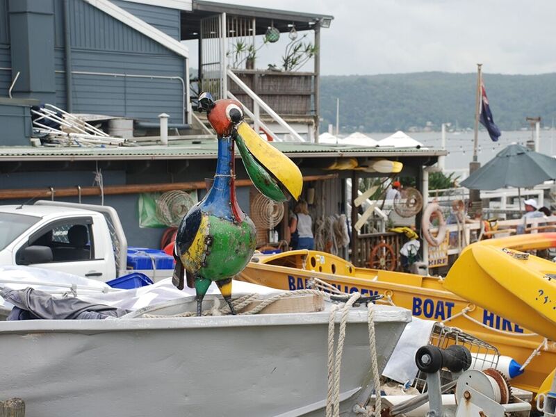 Pete The Pelican Drinks Tub