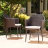 Noble House Iona Multi-Brown Arm Faux Rattan Outdoor Dining Chair with Beige Cushion (2-Pack)