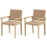 Costway Rubber Wood Outdoor Dining Chair Patio Armchairs Paper Rope Woven Seat Balcony (Set of 2)