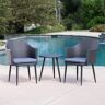 Noble House Iona Mixed Black 3-Piece Faux Rattan Patio Conversation Set with Grey Cushions