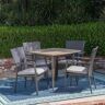 Noble House Marias Gray 5-Piece Wood and Plastic Outdoor Dining Set with Gray Cushions