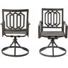 KOZYARD Modern Classic Dark Brown Swivel Metal Outdoor Dining Chair (2-Pack)