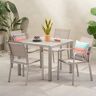 Noble House Boris 30 in. Silver 5-Piece Metal Square Outdoor Dining Set