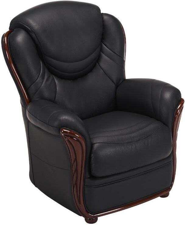 Vente-unique.be Fauteuil 100% cuir de buffle ADELAIDE - Noir